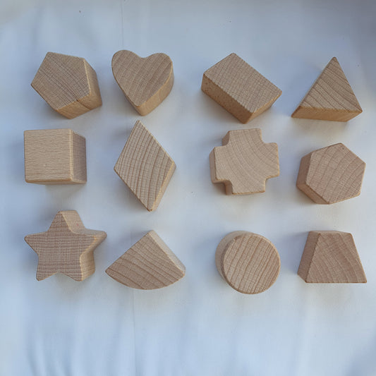 Montessori Wooden Shape Sorter Toy