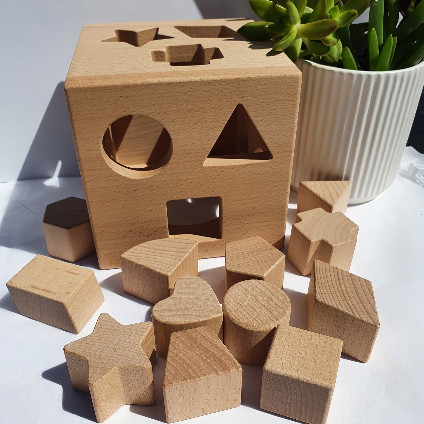 Montessori Wooden Shape Sorter Toy