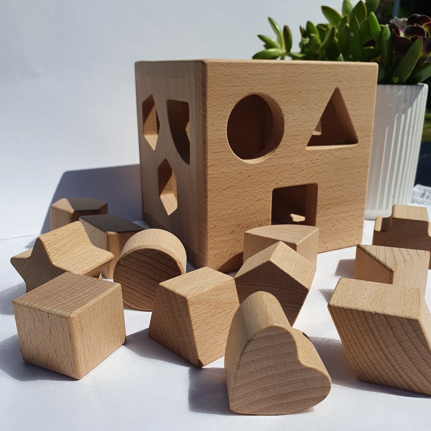 Wooden geometric puzzle on a white surface with a plant in the background
