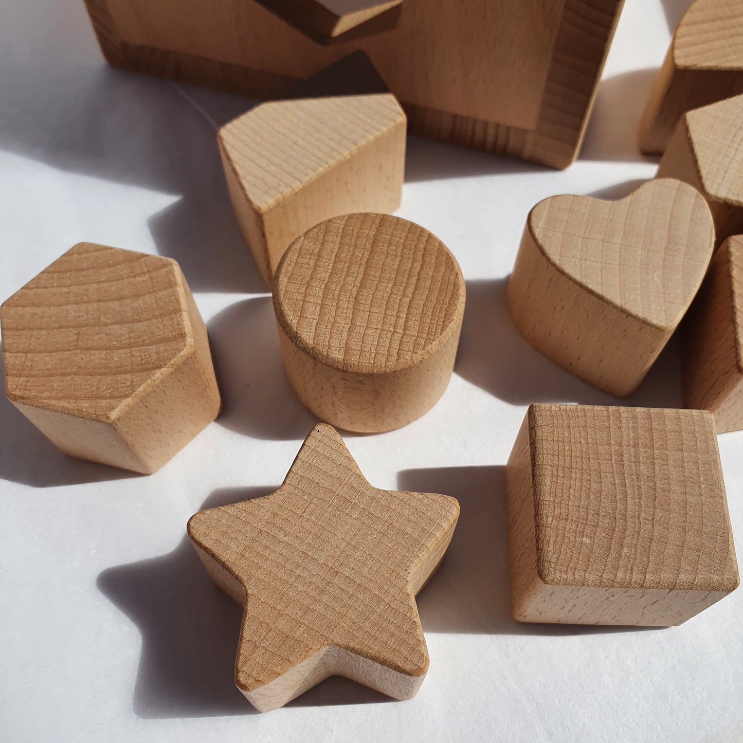 Montessori Wooden Shape Sorter Toy