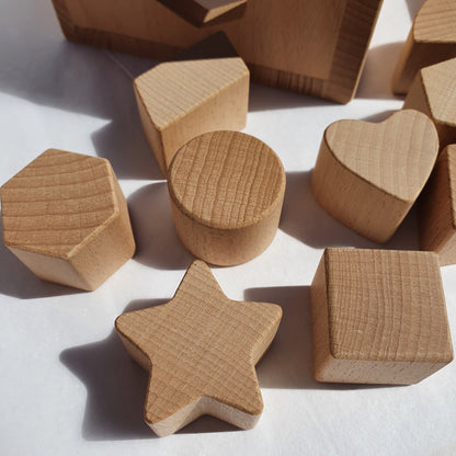Montessori Wooden Shape Sorter Toy
